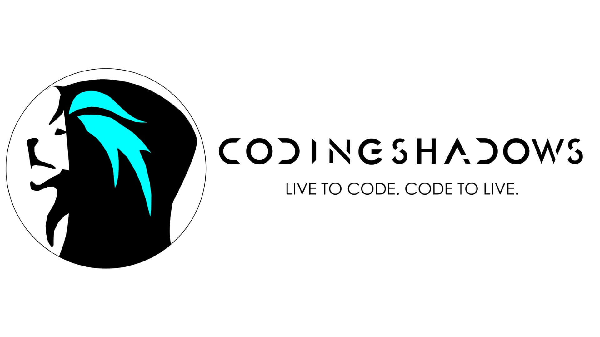 CodingShadows Banner