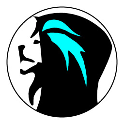 CodingShadows Logo